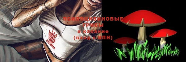 кристаллы Бикин