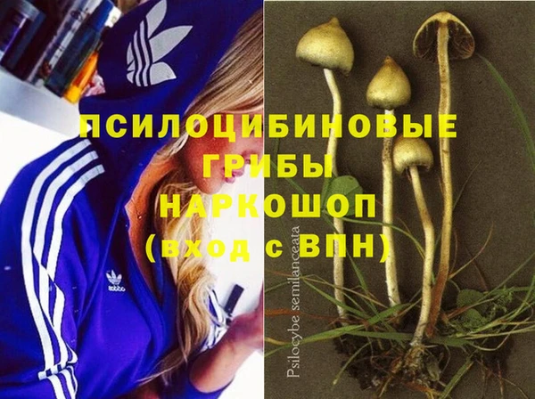 винт Богданович