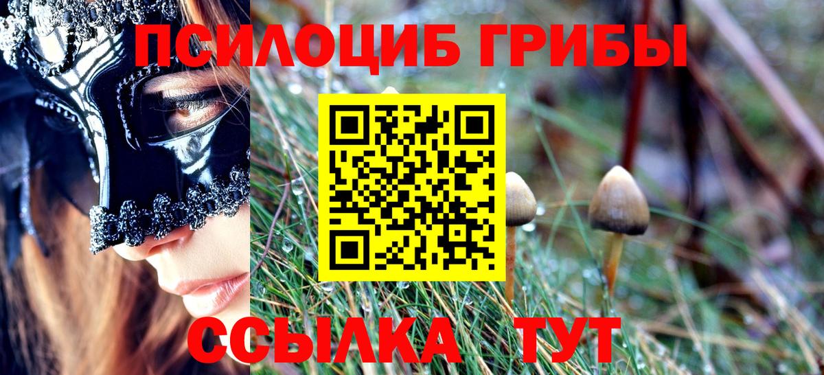 Галлюциногенные грибы Magic Shrooms Алексин