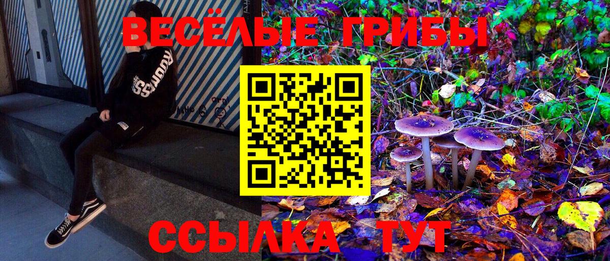 Алексин  Псилоцибиновые грибы мицелий  Псилоцибиновые грибы Psilocybine cubensis  Вход с VPN 