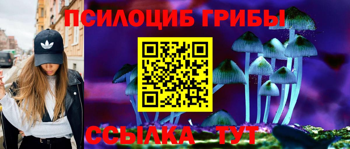 Галлюциногенные грибы MAGIC MUSHROOMS Алексин