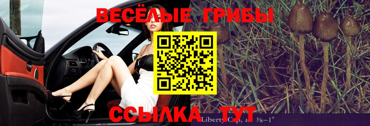 Псилоцибиновые грибы Magic Shrooms  Галлюциногенные грибы Psilocybe  Алексин  Вход с VPN 