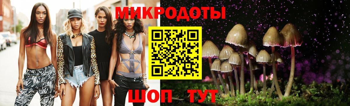 Псилоцибиновые грибы мицелий Алексин