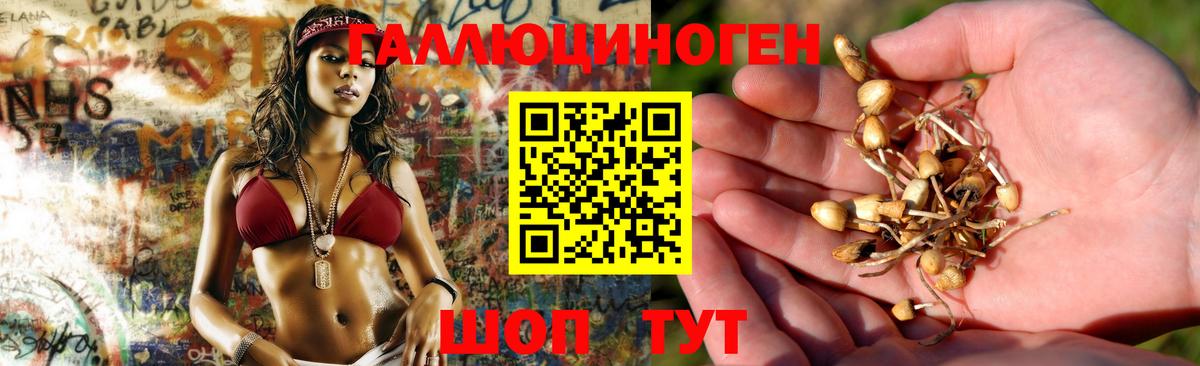 Псилоцибиновые грибы мухоморы  Алексин 