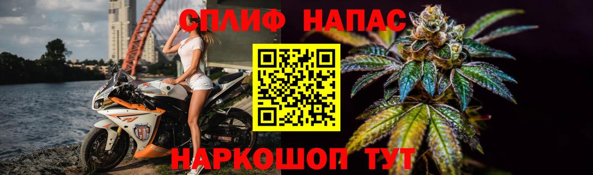 Бошки Шишки гибрид Алексин